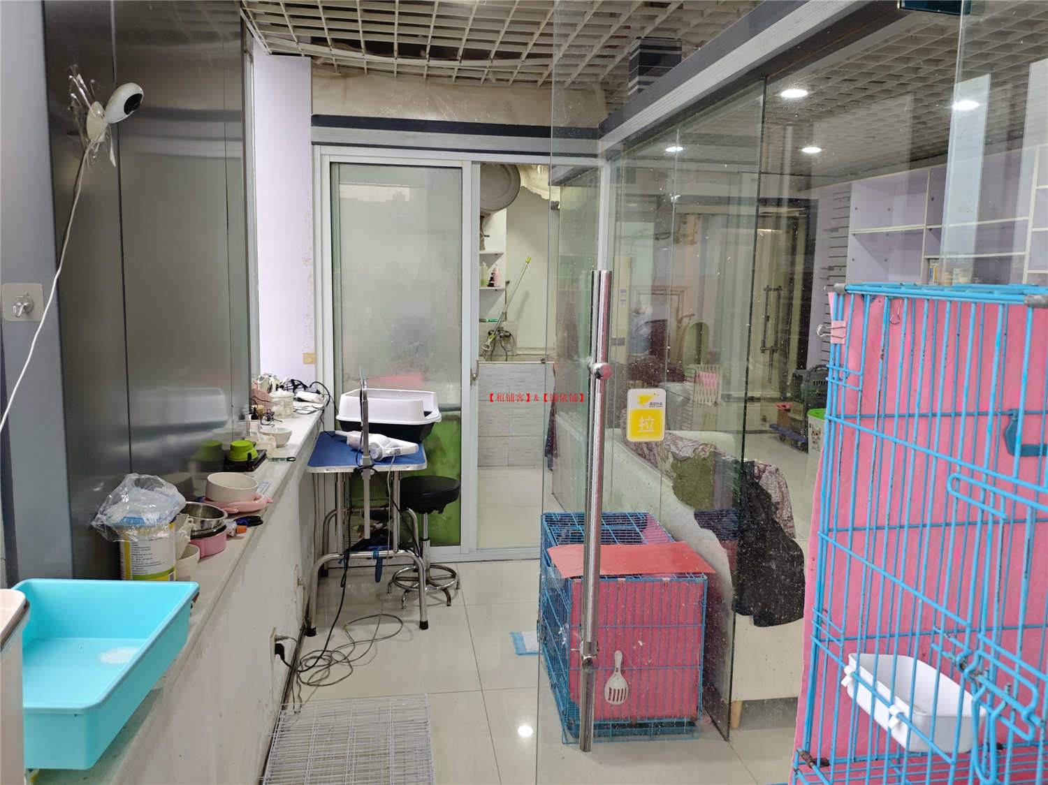 花果园国际商务5号楼，宠物店房东直租